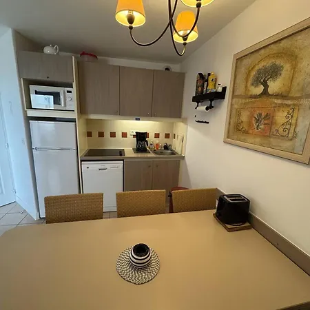 T3 Renove Avec Piscine Et Parking Au Cap D'agde - Fr-1-749-79 דירה אגדה